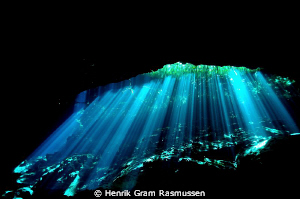 "laser light" at Ponderosa by Henrik Gram Rasmussen 